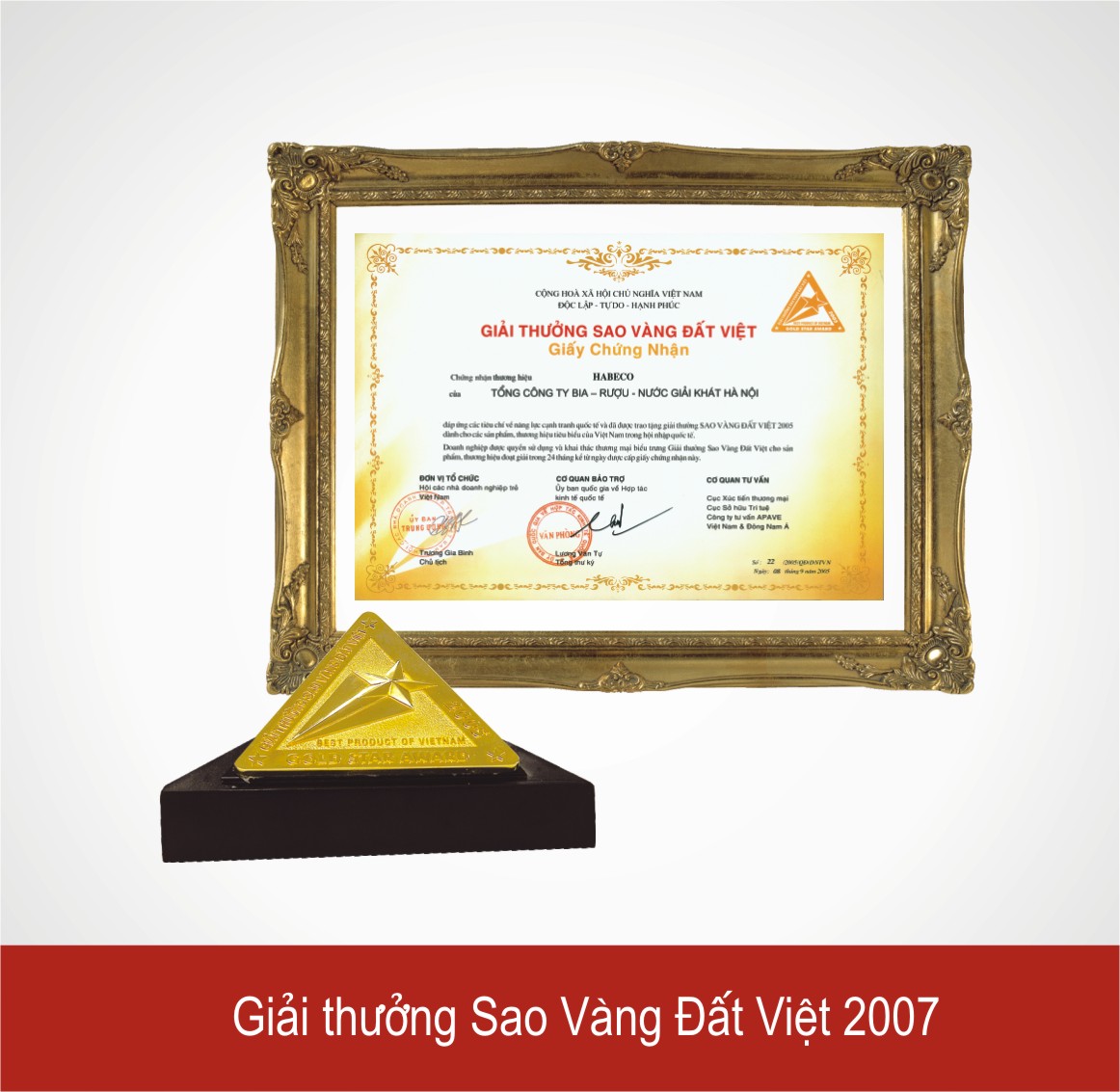 Giải thưởng sao vàng Đất Việt 2007